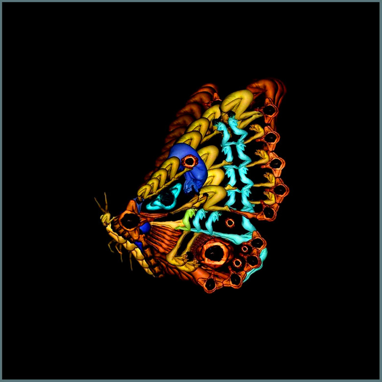 82_44408_743c83c217bdfaa_.jpg