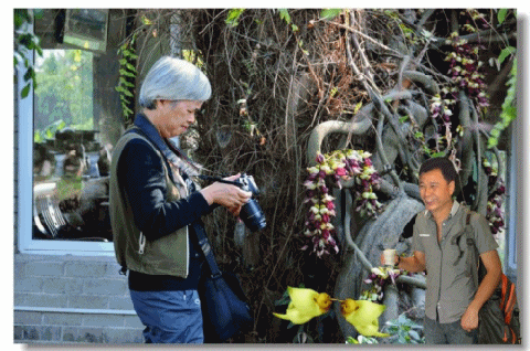 20091118192238_conew57.gif