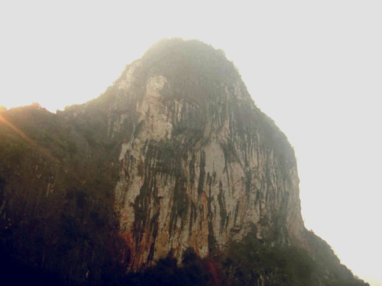 20091118192238_conew823.jpg