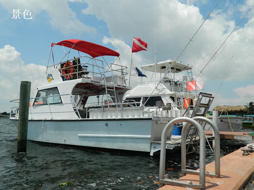 DSCN0511.JPG