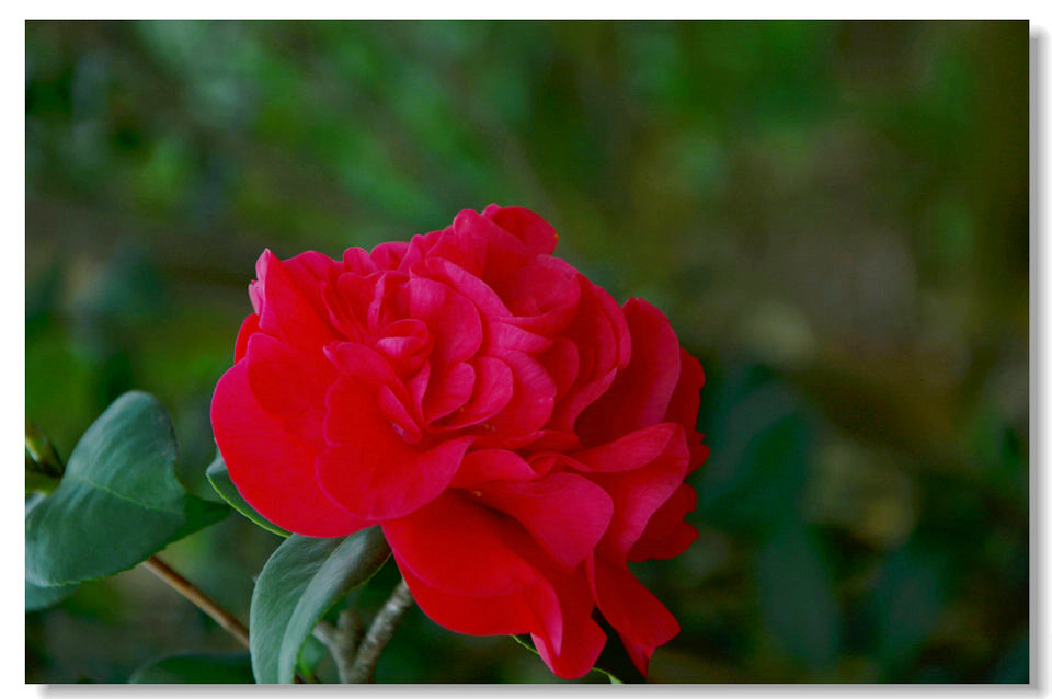 DSC_9148.jpg