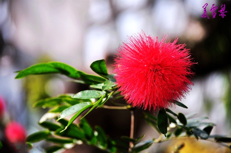 DSC_0047_conew1.jpg