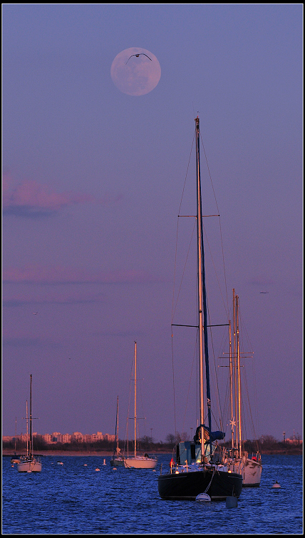 DSC_2470.JPG