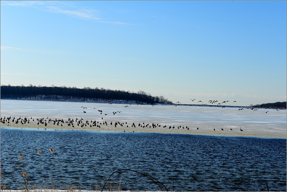 DSC_6449-2.jpg