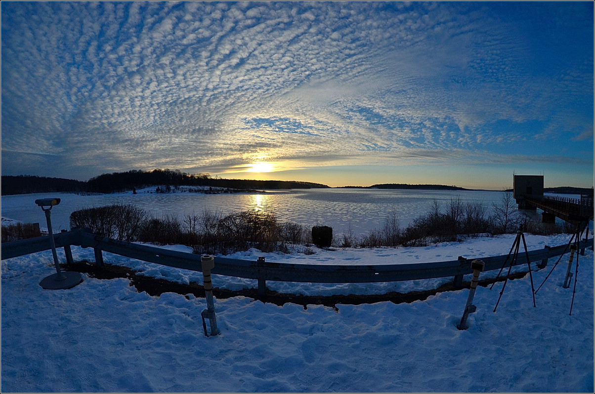 DSC_6242.jpg