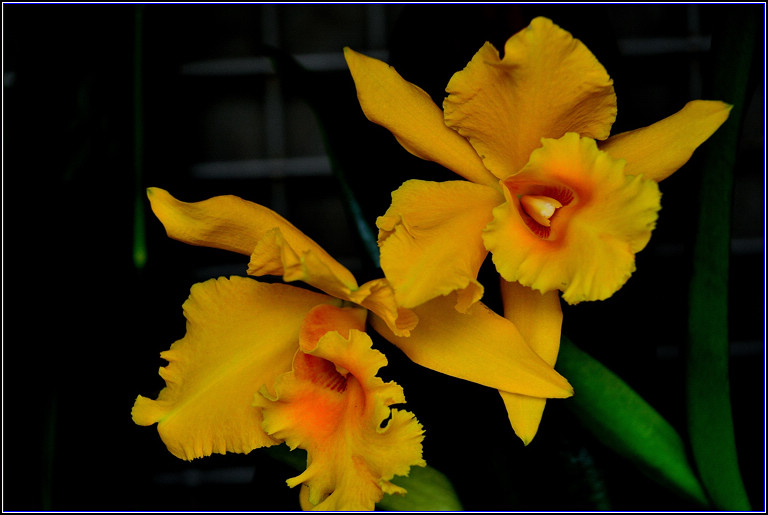 DSC_2759.jpg