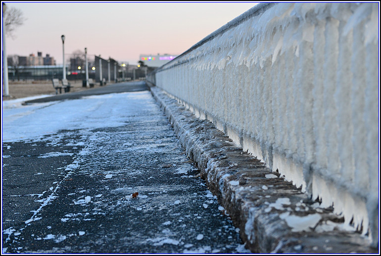 DSC_2453.jpg