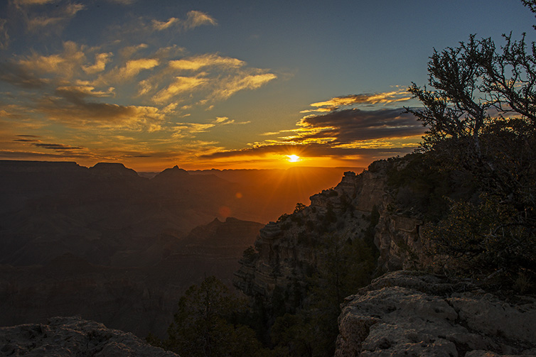 DSC_8001.sen.jpg