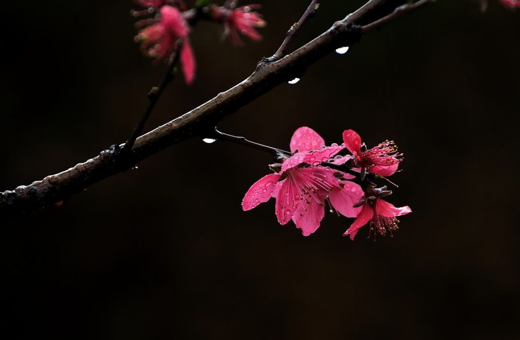 DSC_6859.jpg
