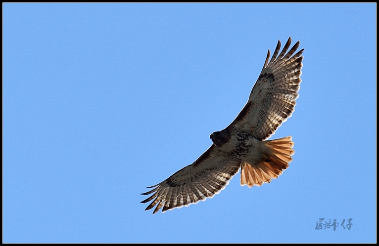 DSC_4630.jpg