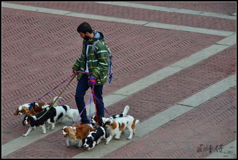 DSC_1193.jpg