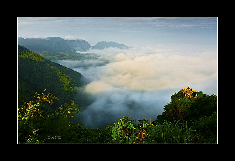DSC_5300C.jpg