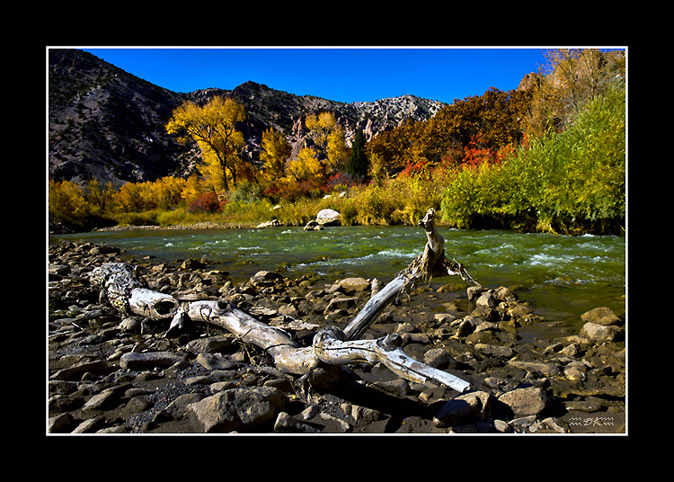 DSC_4060C1.jpg