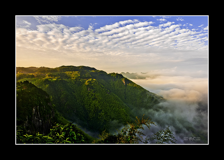 DSC_5264C.jpg