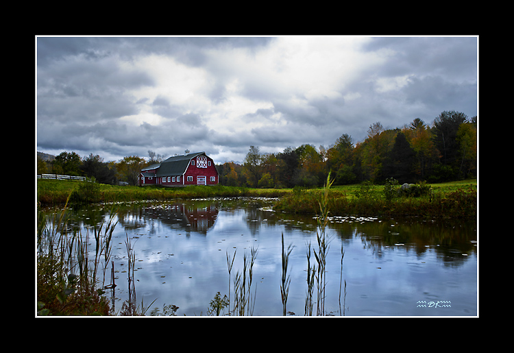 DSC_9826C.jpg