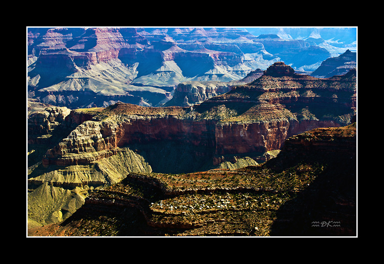 DSC_2806C1.jpg