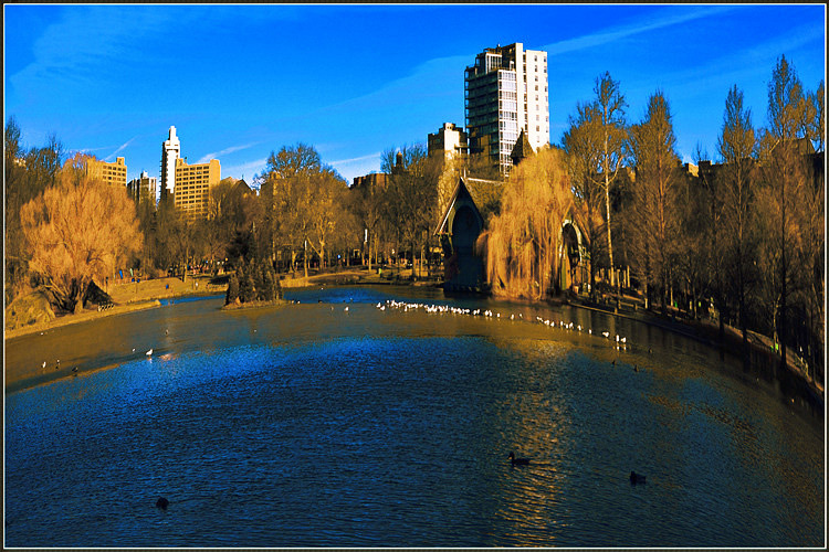 _DSC5829a_����.jpg