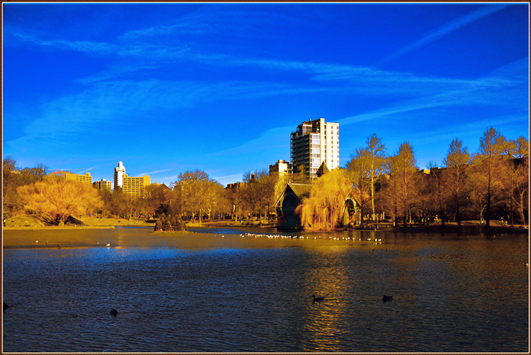 _DSC5829.jpg