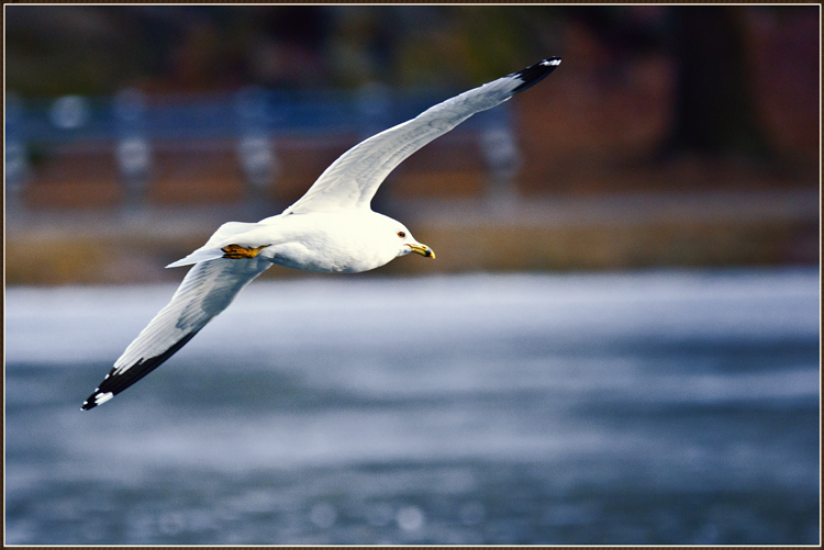 _DSC5709_����.jpg