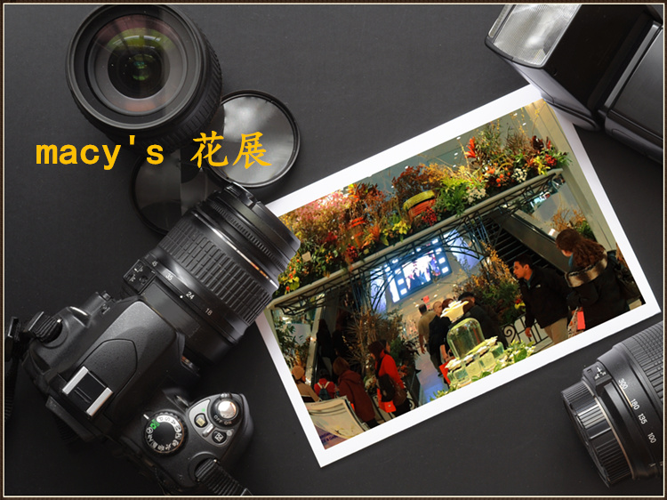 DSCN1280_����.jpg