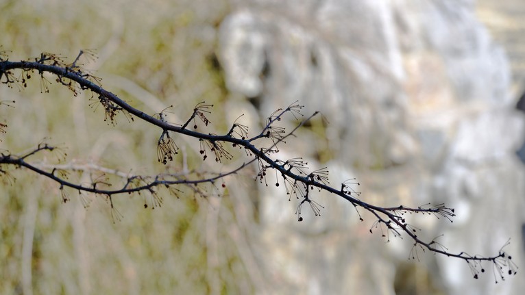 DSC_6395.jpg