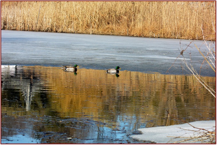 DSC_2279.jpg