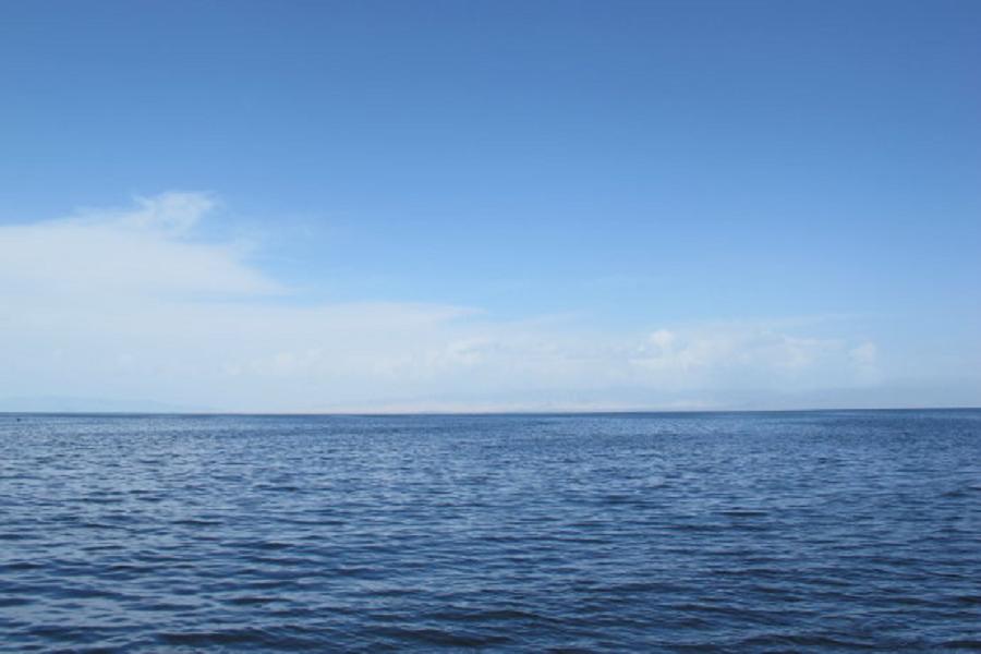 39298562_24.jpg