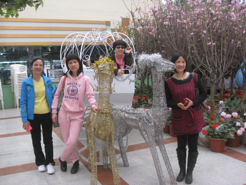 IMG_6211.jpg
