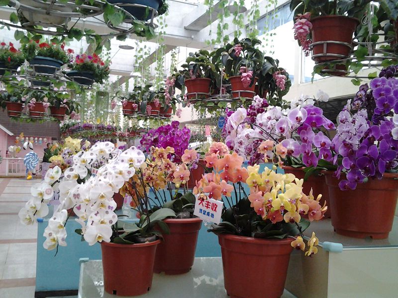 20140302_163709.jpg
