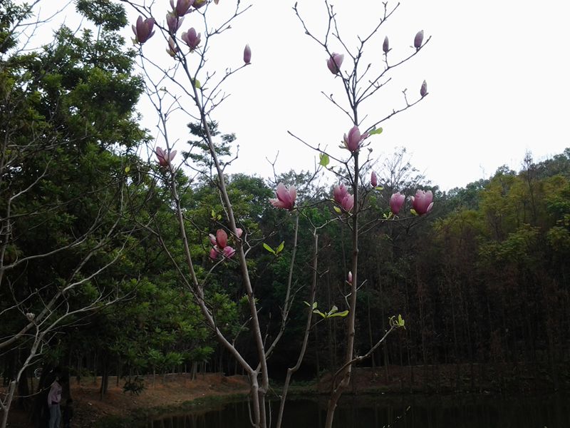 20140302_101424.jpg