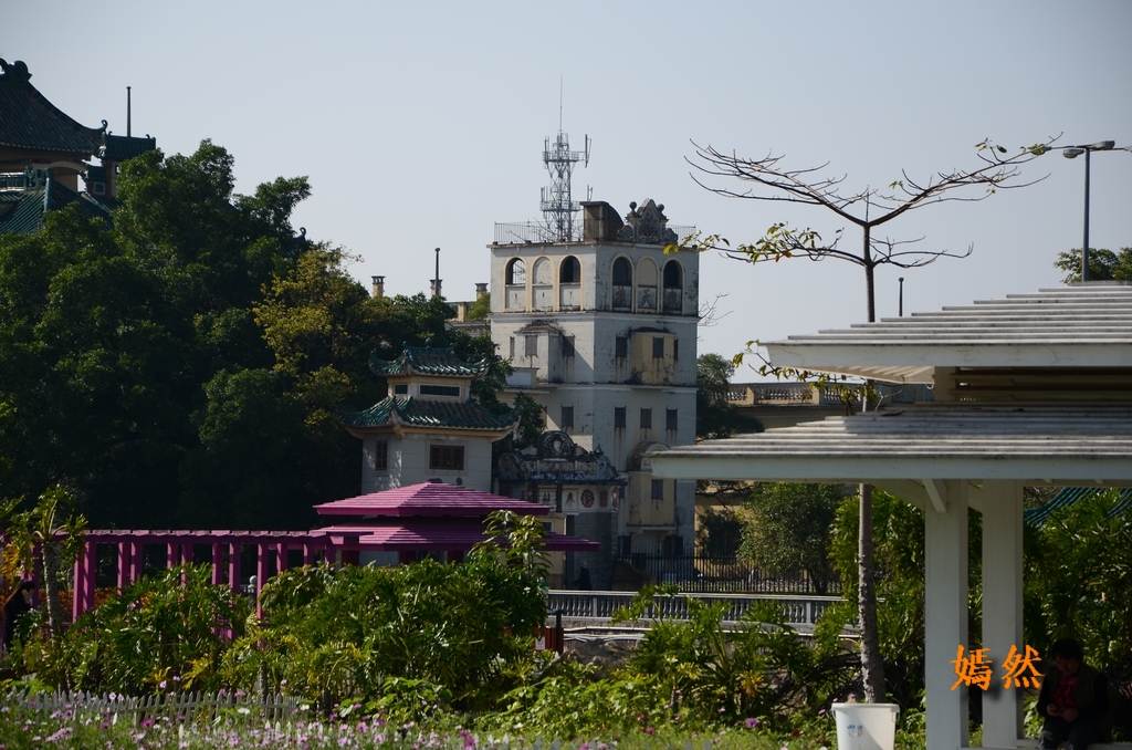 DSC_0267.JPG