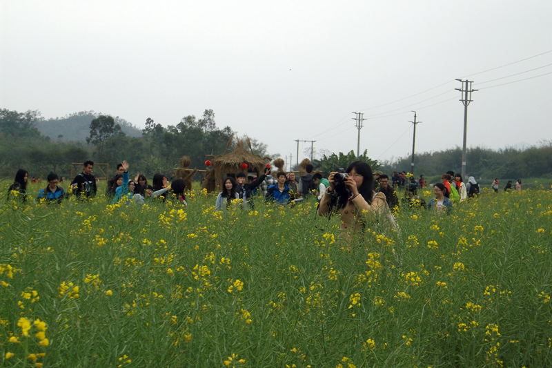 DSCF1859.jpg