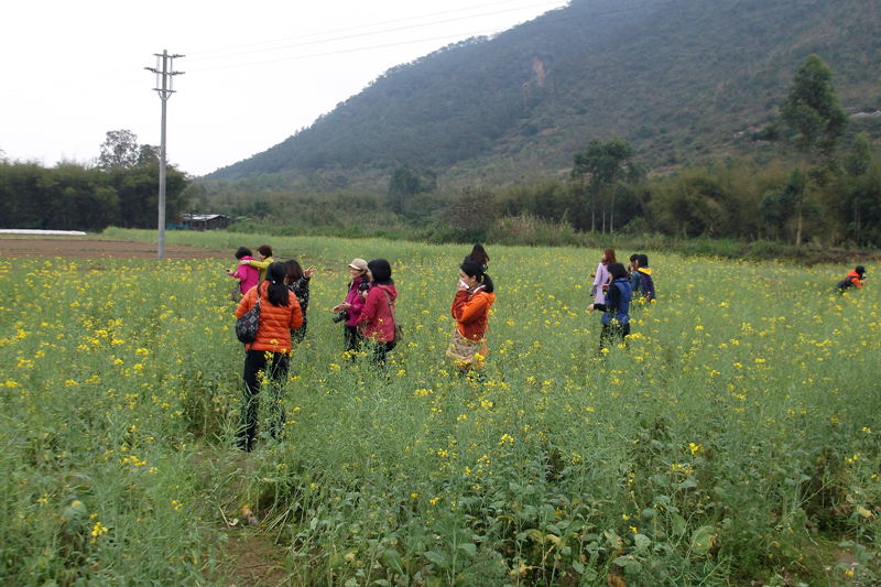 DSCF1849.jpg