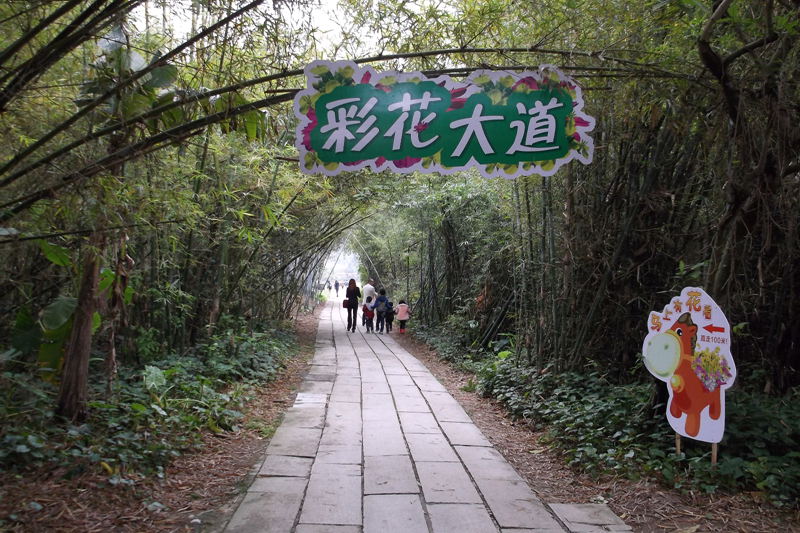 DSCF1846.jpg