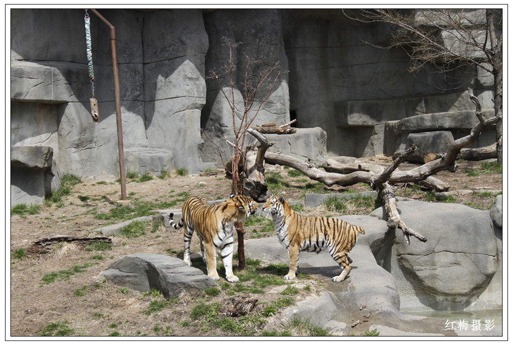 _MG_0118.JPG