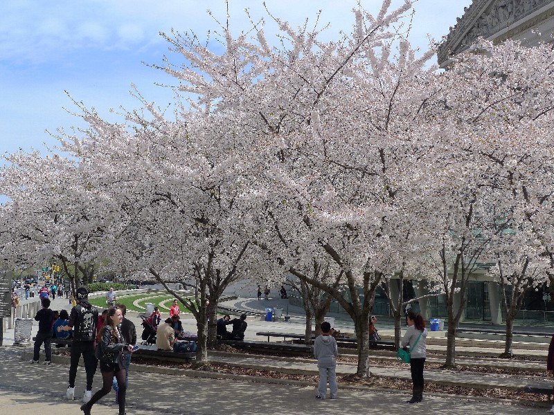P1070461.jpg
