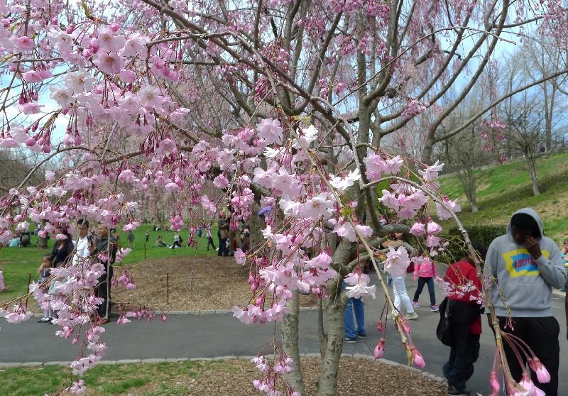 P1070333.jpg