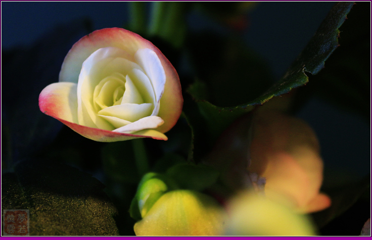 20140331 023_1.jpg