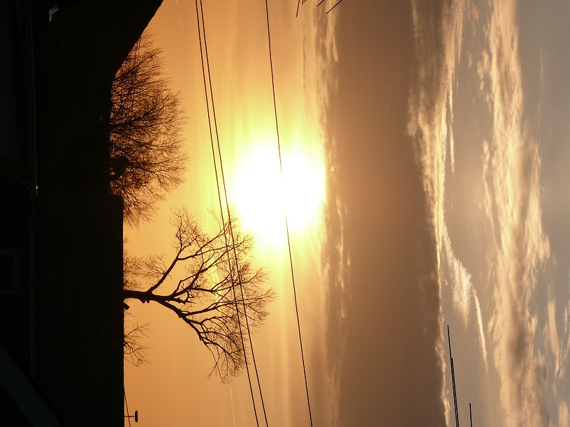 L1450224.JPG
