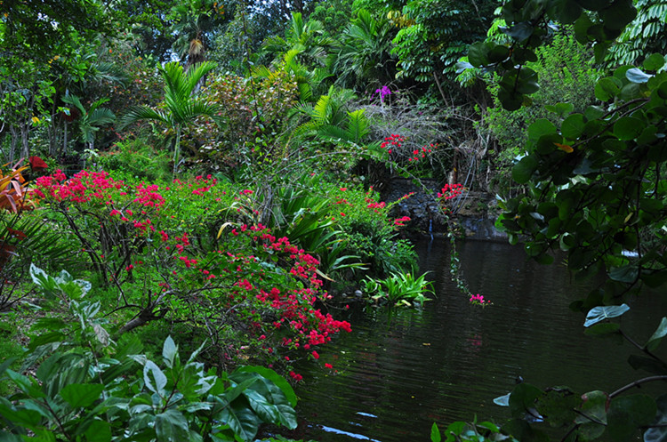 DSC_0066_.jpg