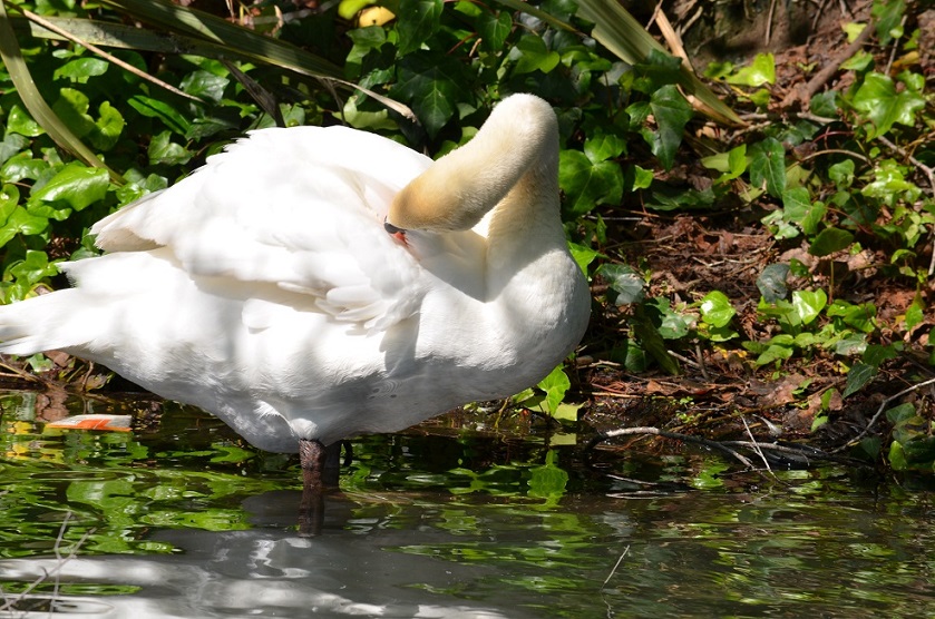 DSC_0076.JPG