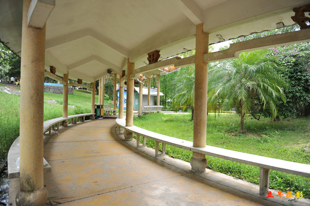 DSC_2910.JPG