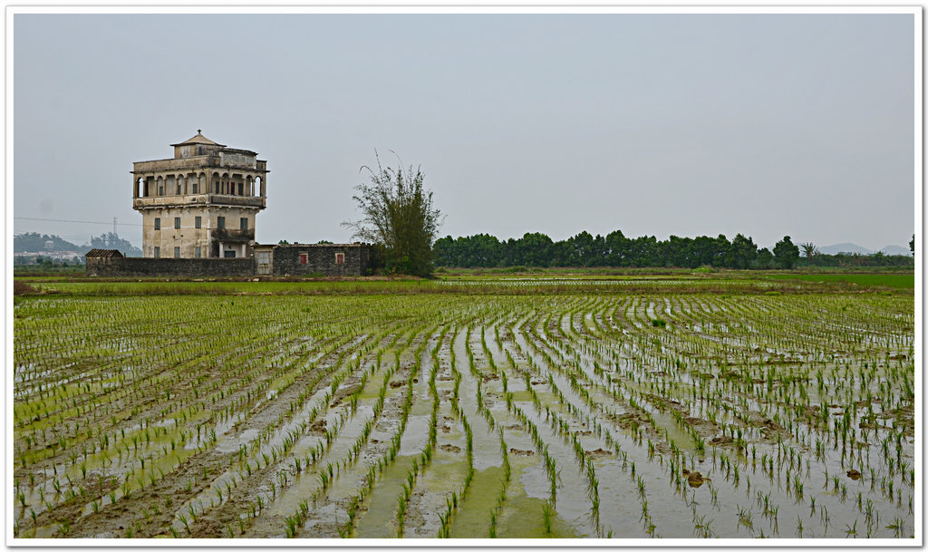 DSC_1632.jpg