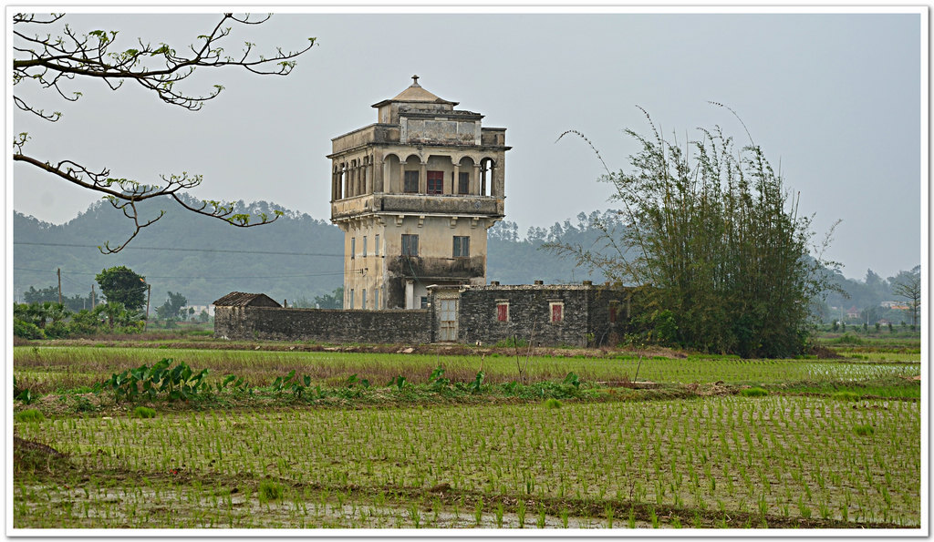 DSC_1635.jpg