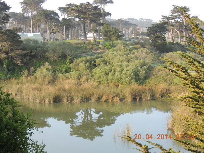 live # 3 1057_.jpg