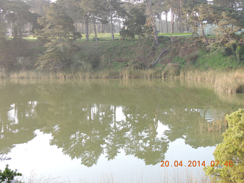 live # 3 1058_.jpg