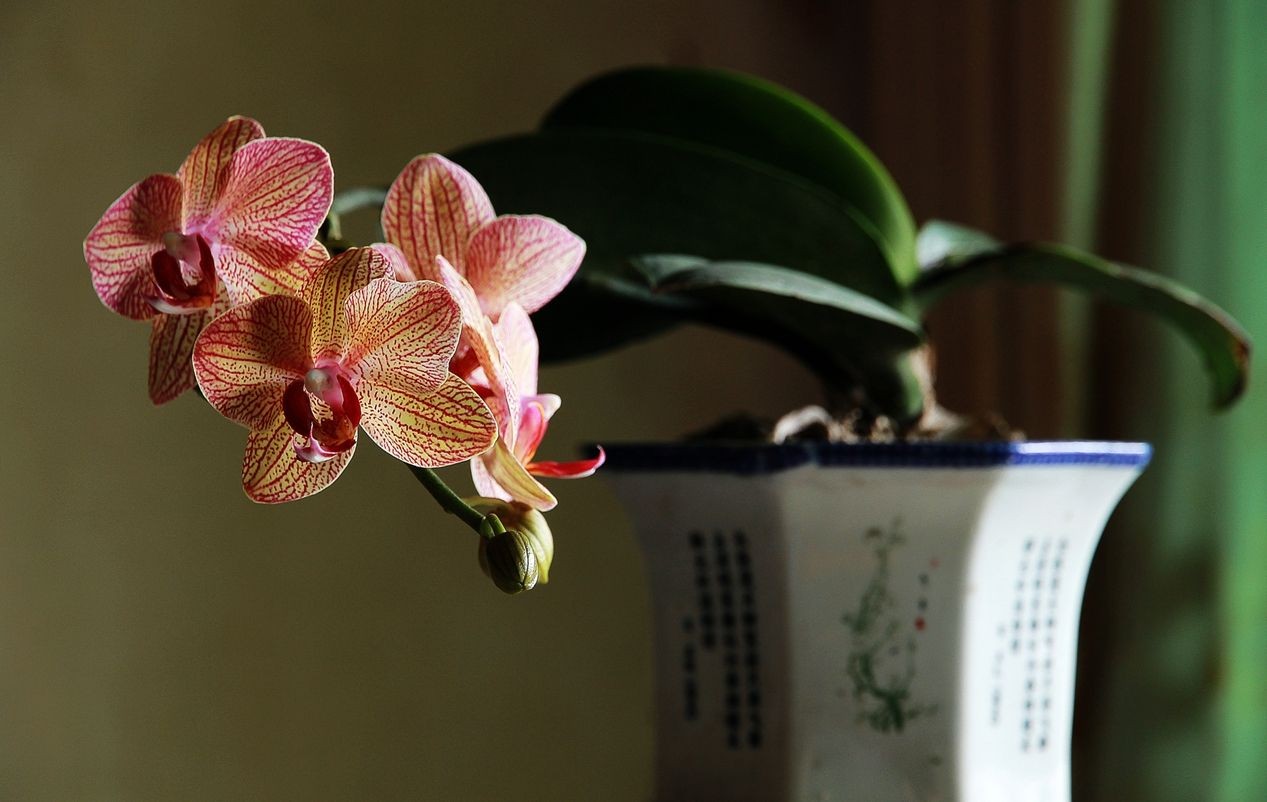 QQͼƬ20140429090823.jpg