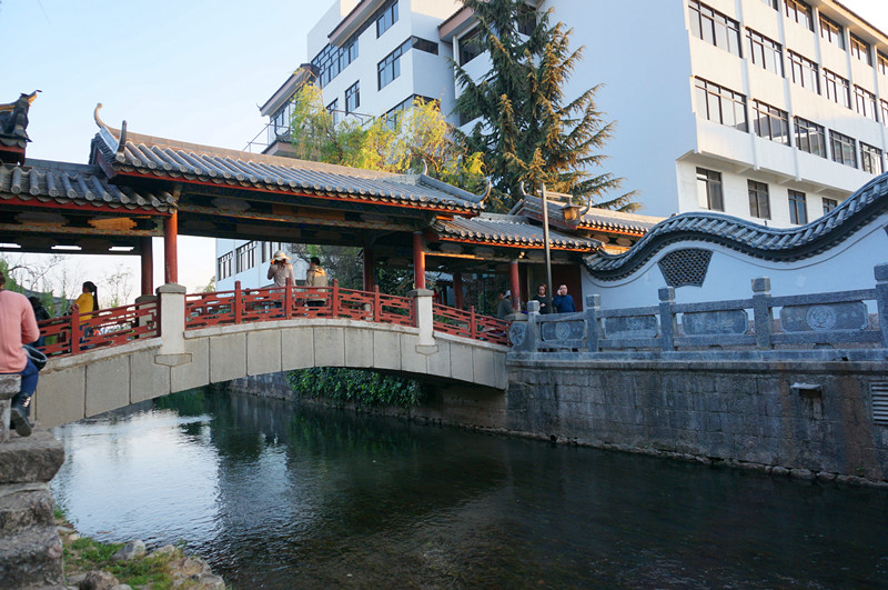 DSC03509_.jpg