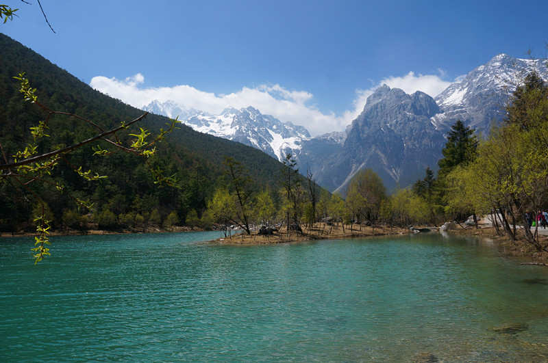 DSC03574_.jpg