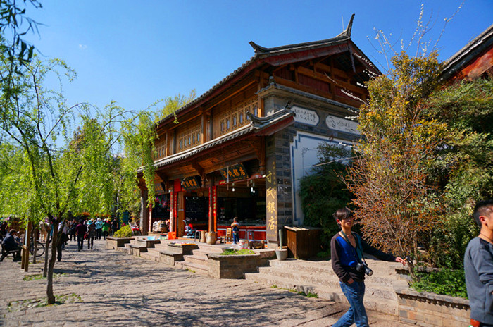 DSC03490__.jpg